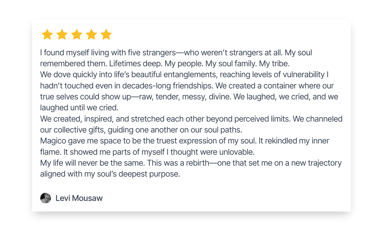 review-by-levi-mousaw (1)